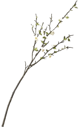 Crate & Barrel Double Cherry Blossom Stem