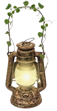 cottagecore lantern