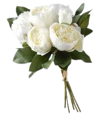white bouquet of peonies – Vyhľadávanie Google