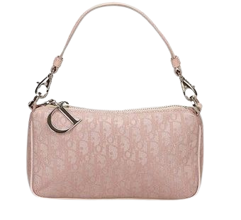 Dior Pink Logo Bag