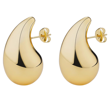 bottega earrings