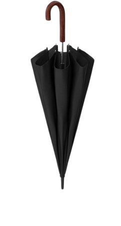 black umbrella png - Google Search