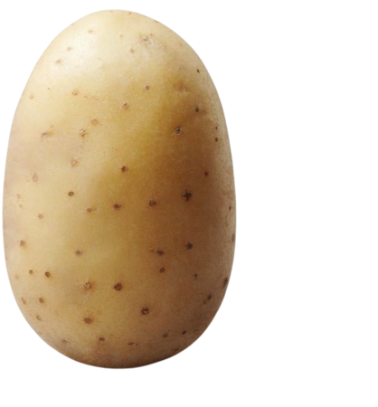 USDA Approves Genetically Engineered Potato | Time