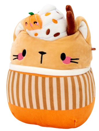 pumpkin spice cat squishmallow