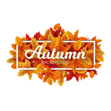 Autumn background with message and typography Vector | Free Download
