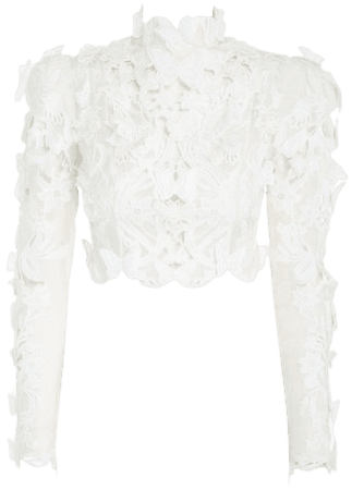 Luminous Guipure Lace Cropped Top By Zimmermann | Moda Operandi