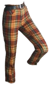 aesthetic clothes png retro pants