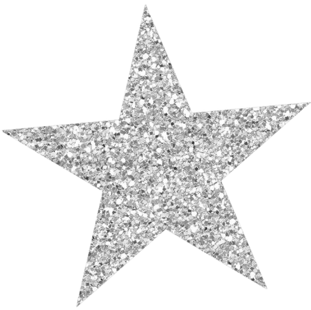 Silver sparkly star