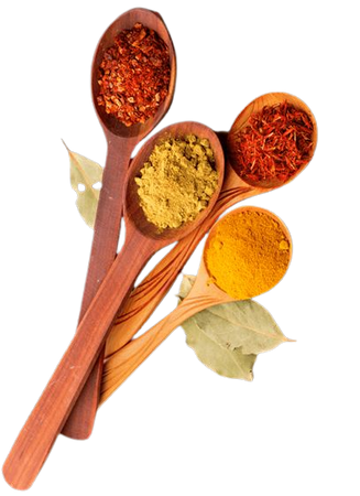 spice png