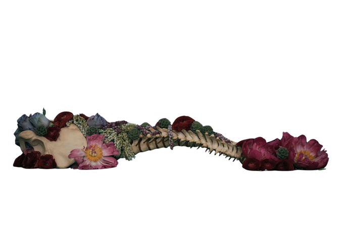 Antonio Bond floral arrangement art bones