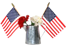 american flag memorial day party - Google Search