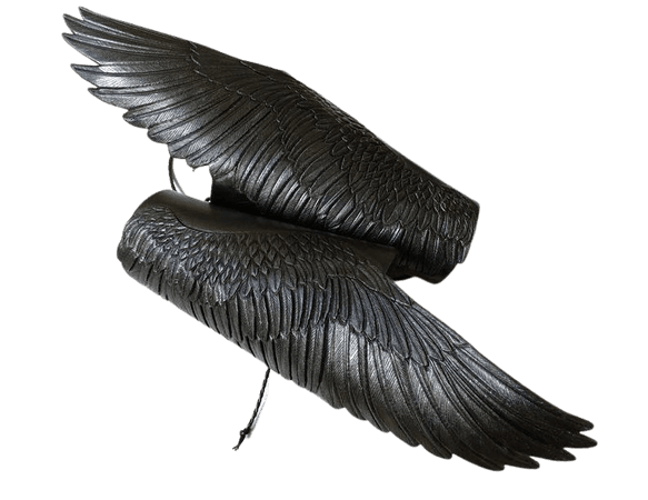 Wing bracers