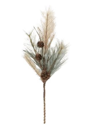 pine cone stem