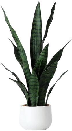 Beebel Artificial Snake Plant 22 Inch Fake Sansevieria Fake Agave Potted Plants Plastic Greenery for Home Garden Office Store Decoration 12 Leaves (Green) : Amazon.ca: Home