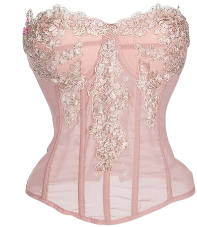 Pink Chiffon With Floral Appliques Gothic Corselet Espartilhos E Corpetes Sexy Corset Burlesque Lingerie Push Up Bustier Tops|Bustiers & Corsets| - AliExpress