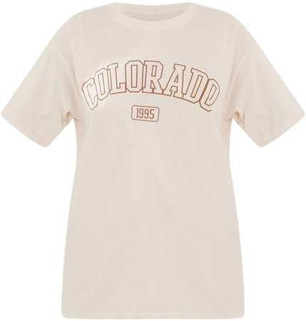 Stone Colorado 1995 Print T Shirt | PrettyLittleThing USA