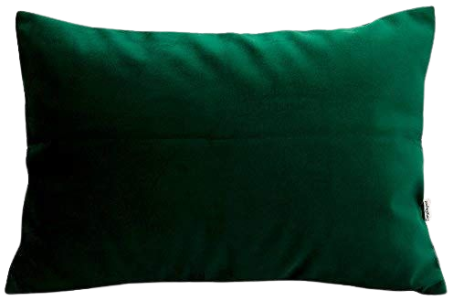 Amazon.com: TangDepot Solid Velvet Throw Pillow Cover/Euro Sham/Cushion Sham, Super Luxury Soft Pillow Cases, Many Color & Size Options - (12"x18", Dark Green): Home & Kitchen