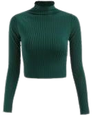 Rib Knit Crop Sweater Tee – Welooc