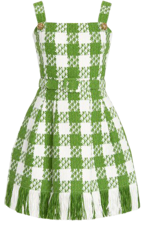 Fringe-Detailed Tweed Mini Dress By Oscar De La Renta | Moda Operandi