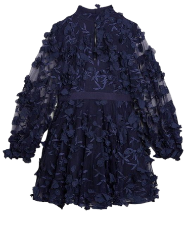 Tulle Applique Long Sleeve Mini Dress | Karen Millen