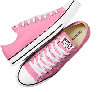 Chuck Taylor All Star Pink Low Top Shoe