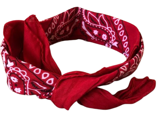 red and white paisley bandanna