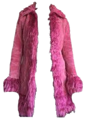 fur coat png