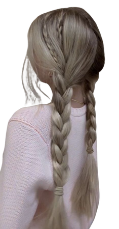 hairstyle braid pigtails
