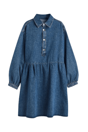 Collared Denim Dress - Denim blue - Ladies | H&M US