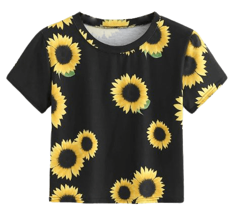sunflower — Postimage.org