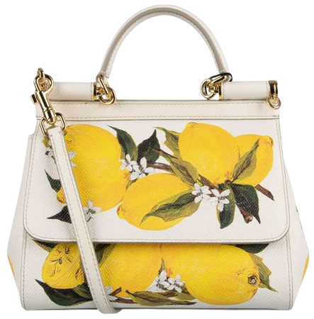 dolce and gabbana lemon purse