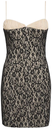 Versailles Mini Dress | Black Lace – Rumored
