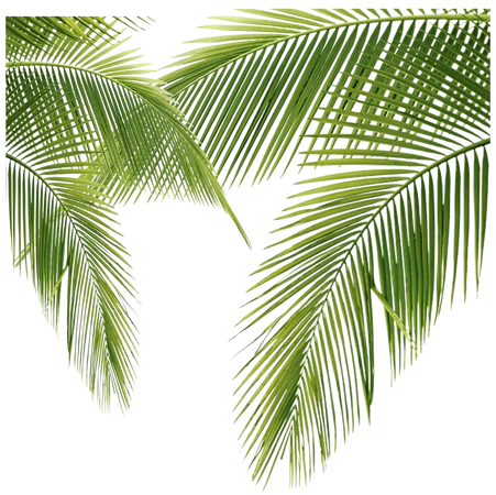 Palm Tree Filler