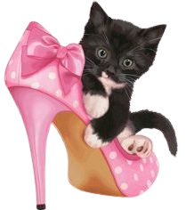 cat shoe