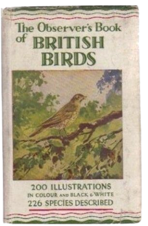Bird illustrations book