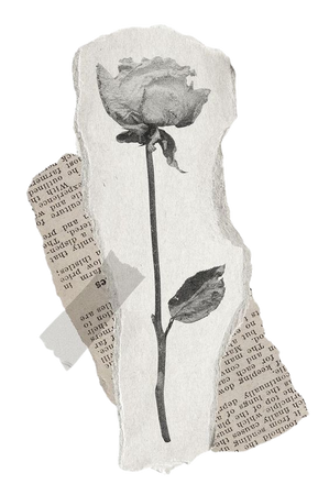 vintage flower torn paper aesthetic mood