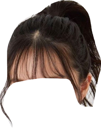 ponytail bangs
