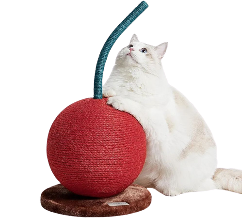 cherry Cat