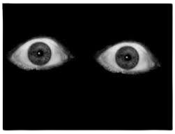 scary eyes - Google Search