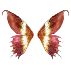 pink red orange butterfly fairy wings