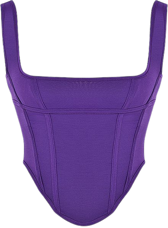 Clothing : Tops : 'Edetta' Purple Mesh Corset