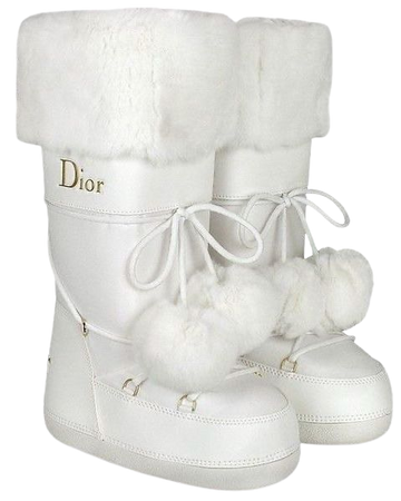 Dior Snowboots