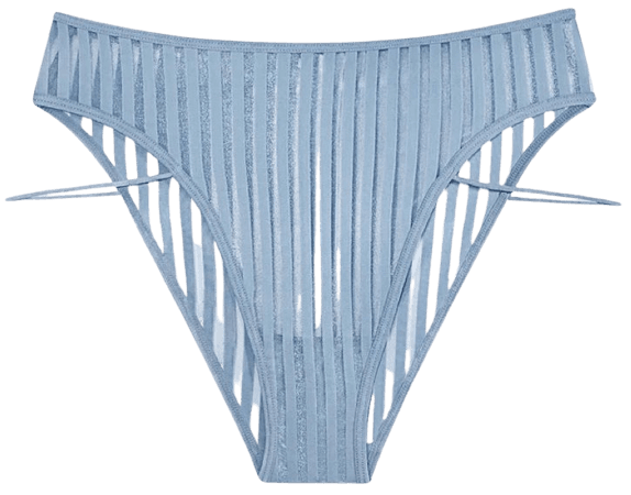 blue mesh panties underwear lingerie sheer stripped