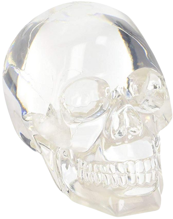 Amazon.com: Clear Translucent Skull Collectible Figurine: Gateway