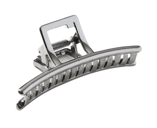 silver jaw clip