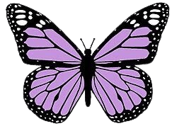 light purple butterfly