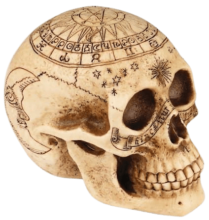 astrology skull