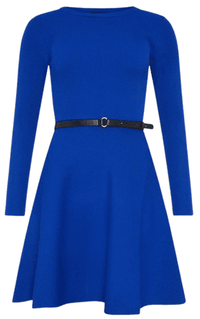 Crew Neck Knitted Skater Mini Dress | Karen Millen