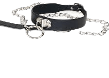 bdsm collar with leash - Google Search