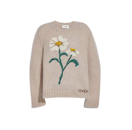 COACH Official Site Official page|DAISY EMBROIDERED SWEATER